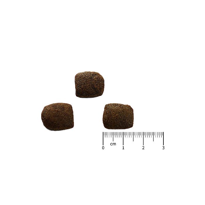 Kyli InsectoDog Hundefutter mit Insektenprotein 15 kg bei Futter24