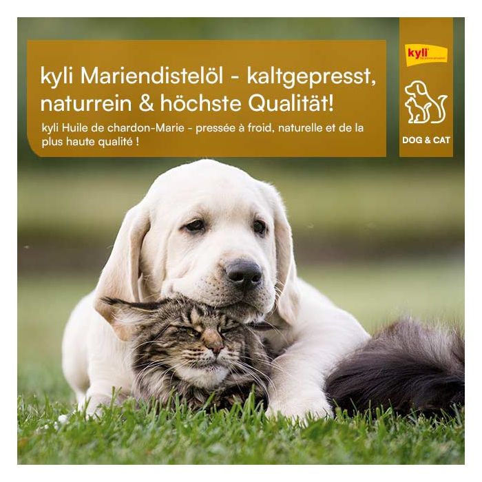 Kyli Mariendistelöl 250 ml bei Futter24