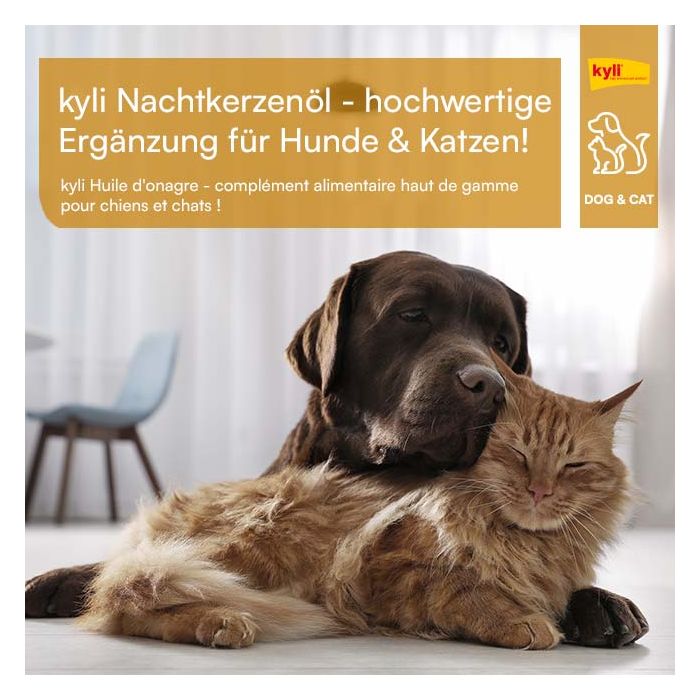 Kyli Nachtkerzenöl 250ml Ergänzungsfuttermittel bei Futter24