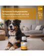 Kyli Schwarzkümmelöl Ergänzungsfuttermittel 100 ml bei Futter24