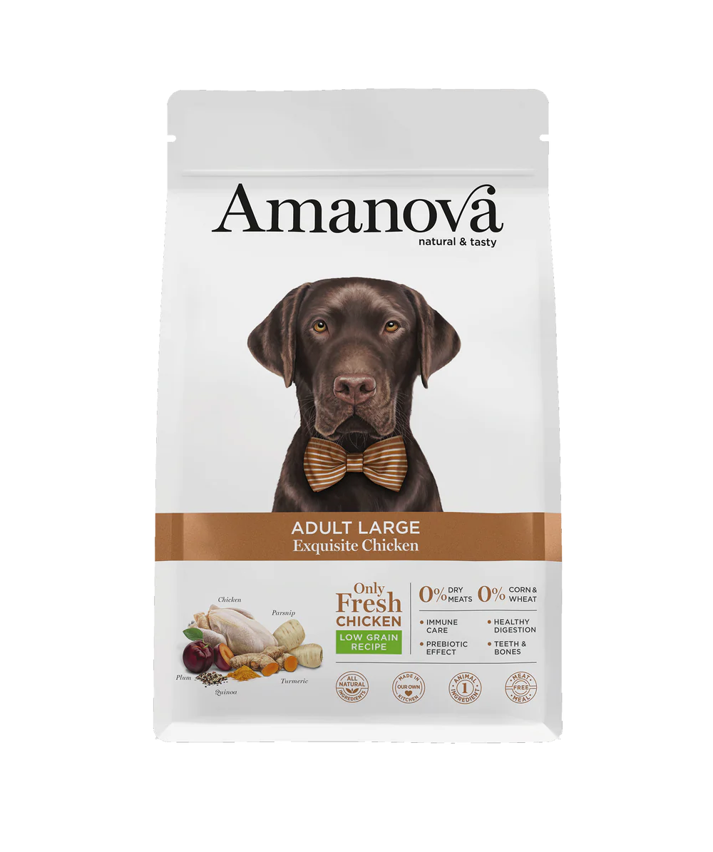 Amanova Adult Large Exquisite Chicken Hundefutter mit Huhn bei Futter24