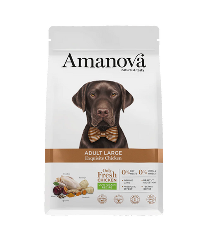 Amanova Adult Large Exquisite Chicken Hundefutter mit Huhn bei Futter24