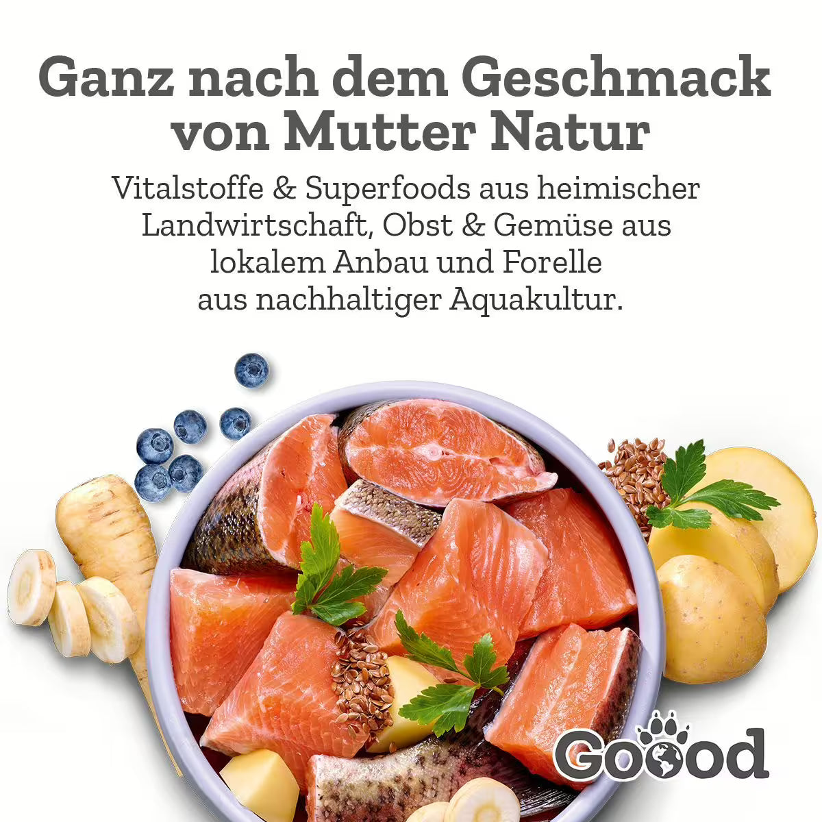 GOOOD Nassfutter Adult Nachhaltige Forelle bei Futter24