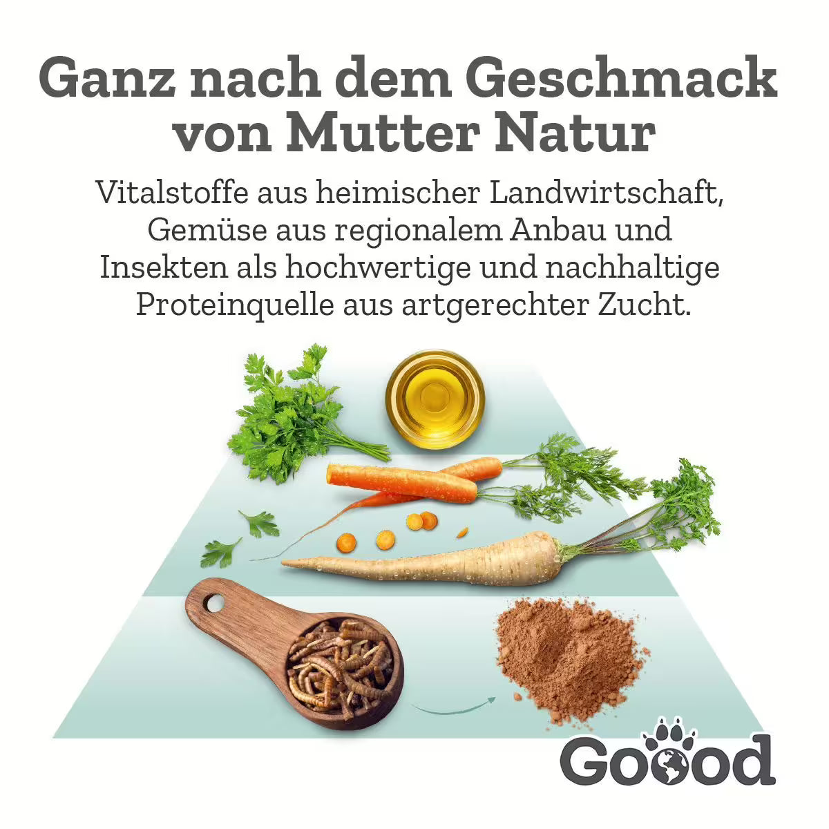 GOOOD Soft Gooodies Insekten Hundesnack bei Futter24