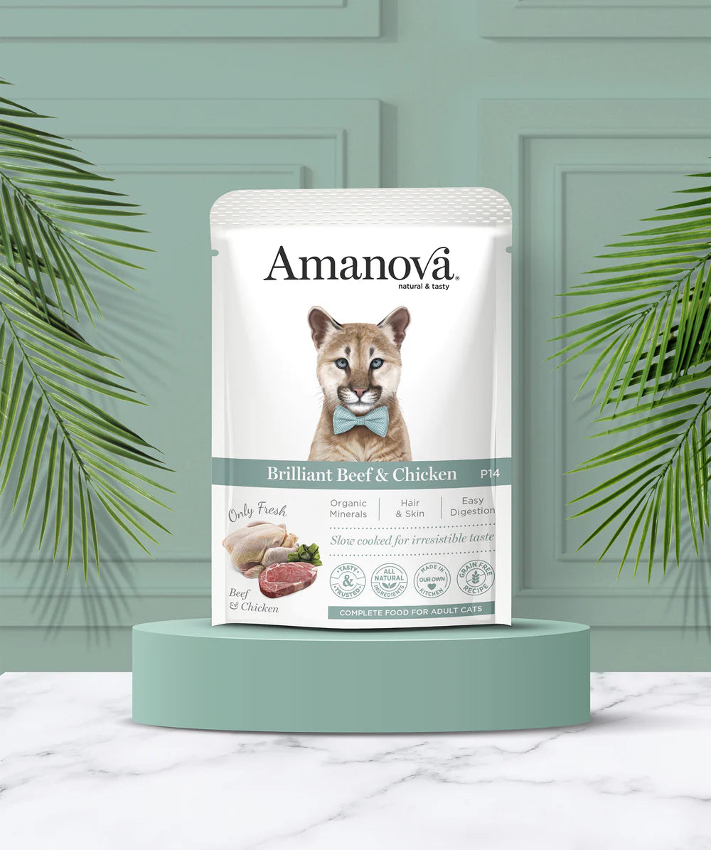 Amanova Brilliant Beef und Chicken Katzen-Nassfutter mit Rind und Huhn bei Futter24