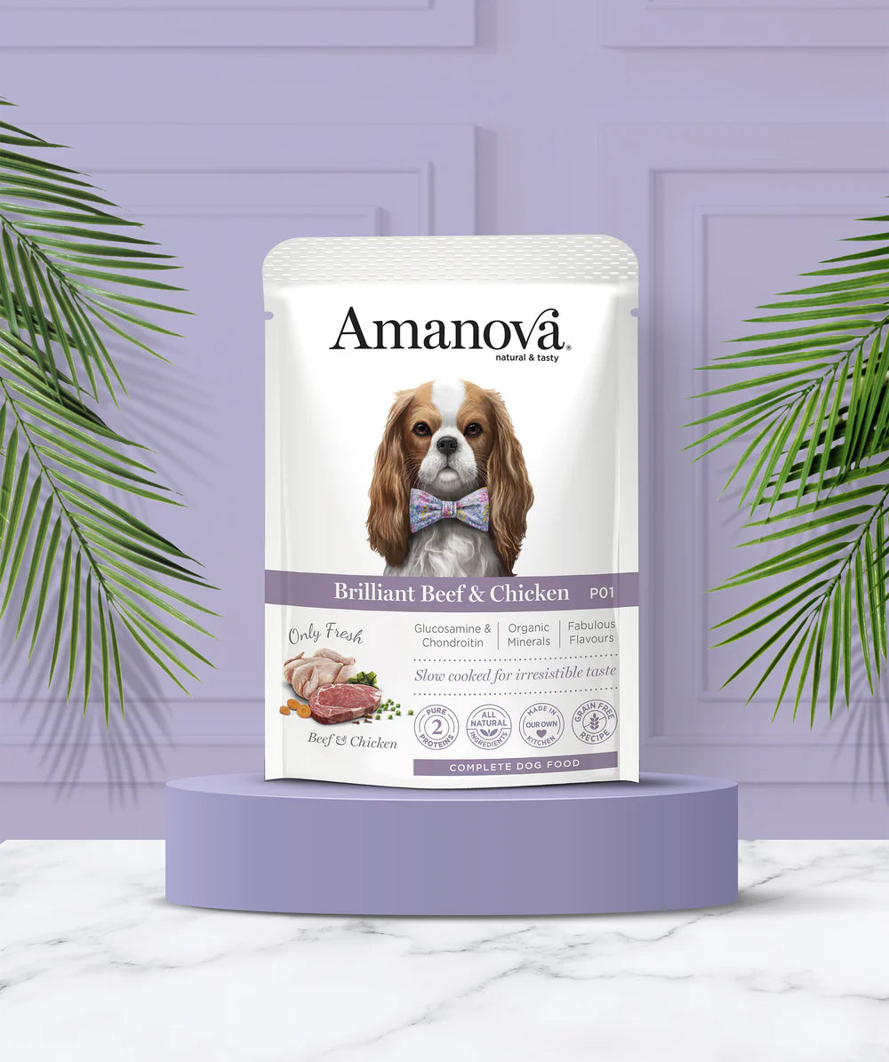 Amanova Brilliant Beef und Chicken Katzen-Nassfutter mit Rind und Huhn bei Futter24