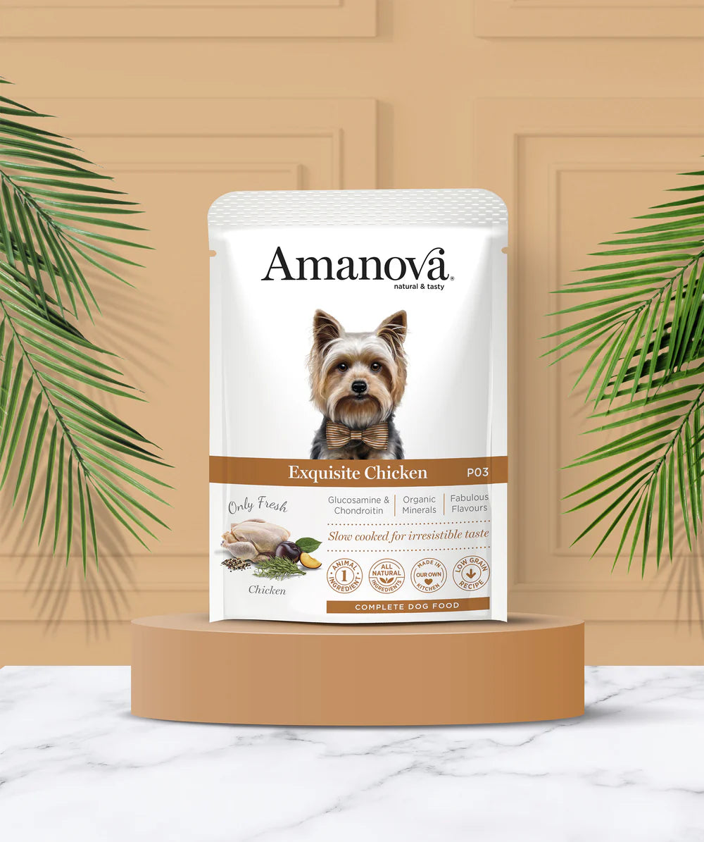 Amanova Exquisite Chicken Katzen-Nassfutter mit Huhn bei Futter24