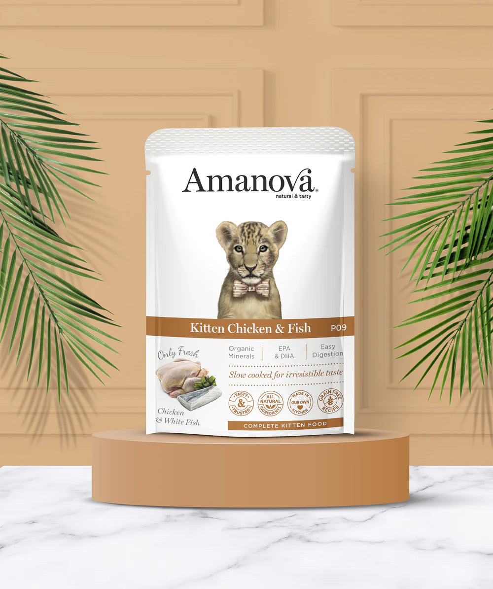 Amanova Kitten Chicken und Fish Katzen-Nassfutter mit Huhn und weissem Fisch bei Futter24