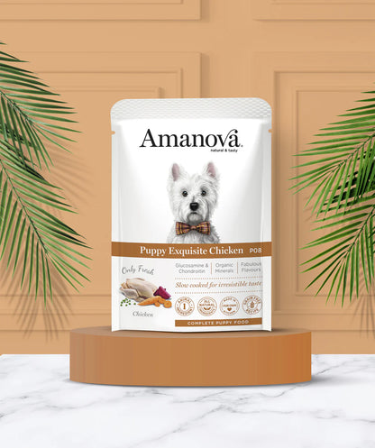 Amanova Puppy Exquisite Chicken Welpen-Nassfutter mit Huhn bei Futter24