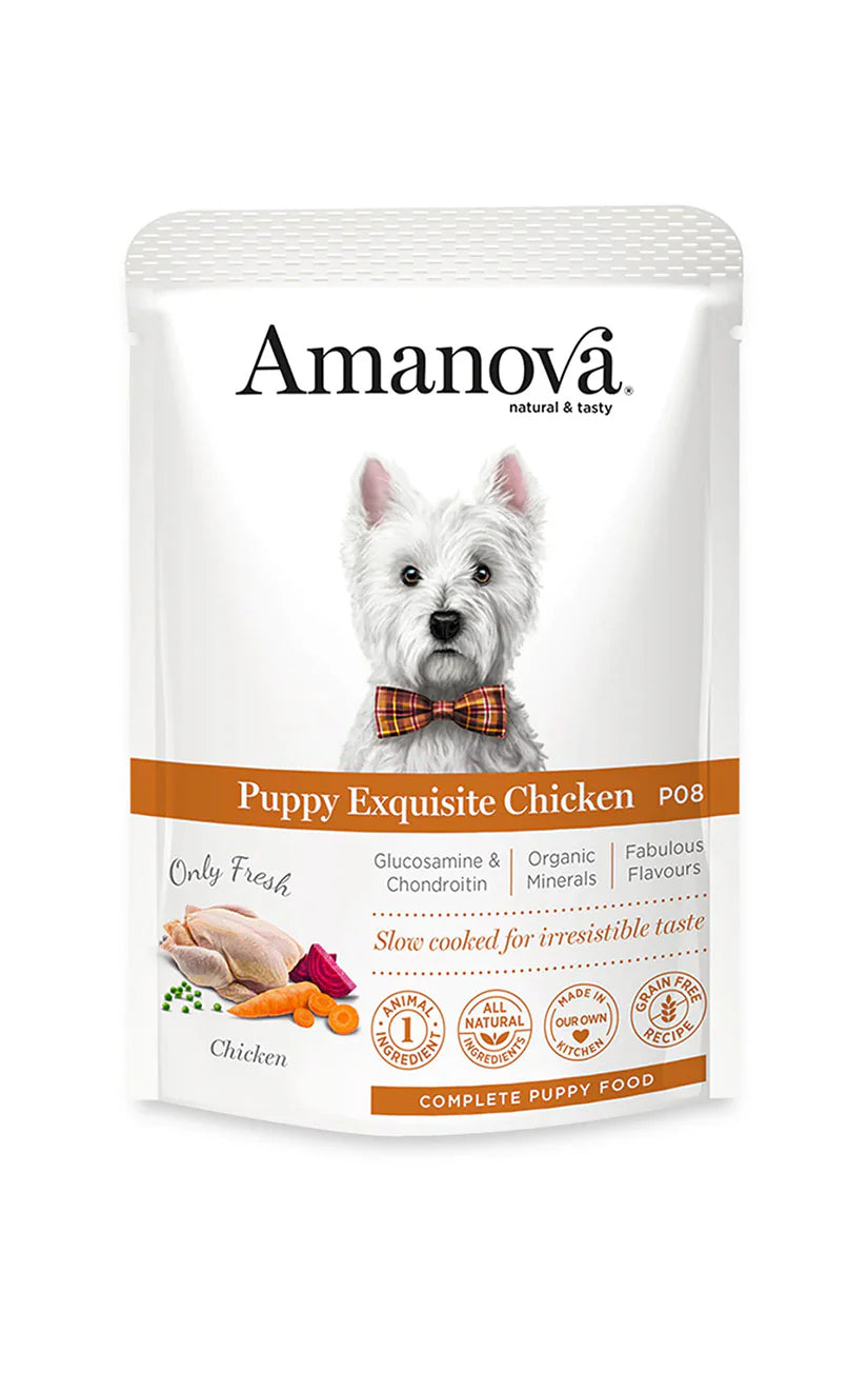 Amanova Puppy Exquisite Chicken Welpen-Nassfutter mit Huhn bei Futter24