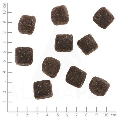 Wolfsblut Cold River Squashies – Forelle mit Süsskartoffeln 300 g – Futtergrösse / Detailaufnahme