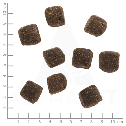 Wolfsblut Wide Plain Large Breed Squashies – Pferd mit Süsskartoffeln 300 g – Futtergrösse / Detailaufnahme